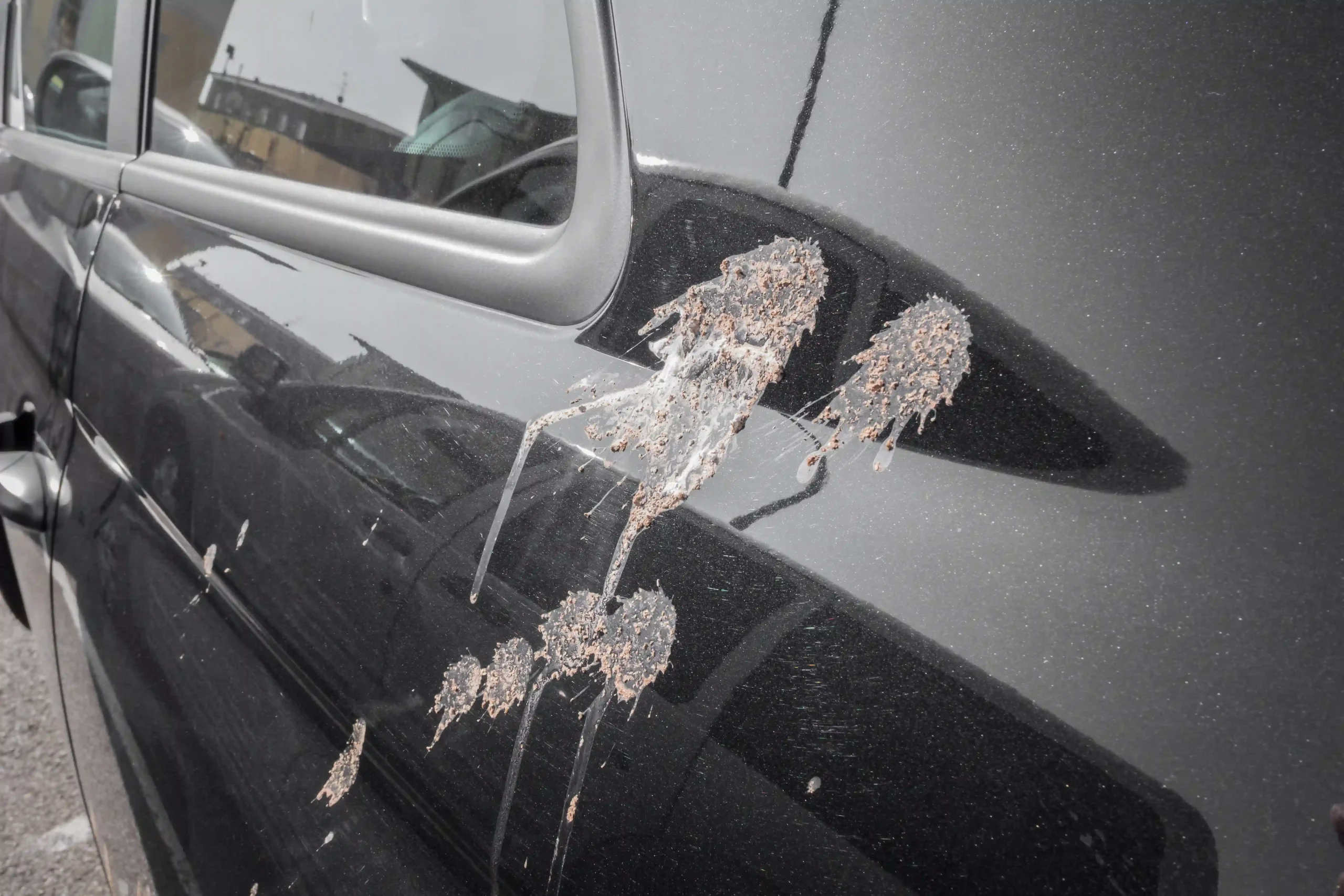 Can Smart Paintwork Repairs Fix Bird Dropping Damage?